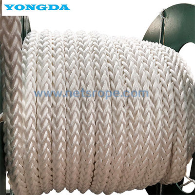Corde intrecciate di nylon della corda di resistenza all'usura 12-Strand Polymide