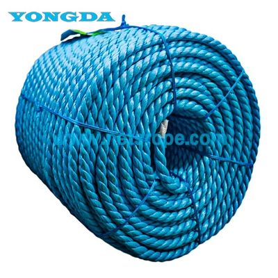 4mm 6mm 8mm PP Farm Rope per l'allevamento di animali/serre/albero da frutto/coltivazione di frutti